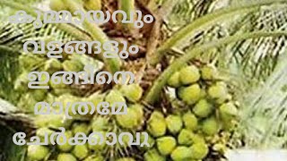 കുമ്മായവും വളങ്ങളും ഇങ്ങിനെ മാത്രമേ ചേർക്കാവു  namukkumkrishicheyyam [upl. by Ronal]