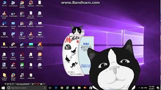 Meet Felix The desktop cat [upl. by Seuqcaj]