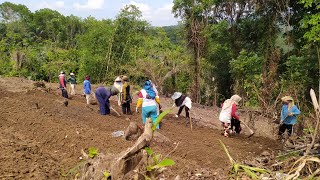 Indahnya Suasana Kegiatan Petani Di Pedesaan [upl. by Carrnan526]