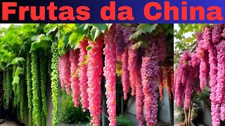 FRUTAS da CHINA você não viu nada igual [upl. by Ab]