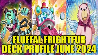 FLUFFAL FRIGHTFUR DECK PROFILE JUNE 2024 YUGIOH [upl. by Baggett]