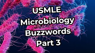 USMLE Step 1 Microbiology Buzzwords Part 3 [upl. by Mensch]