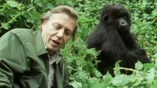 Sir David Attenborough  The story behind Life on Earth  BBC [upl. by Cochran]