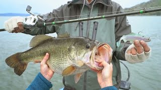 Fishing for Trophy Bass in Northern California  NEW PB Powered by LTB  DALLMYD [upl. by Rramel515]