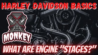 Harley Davidson Performance Unveiling Stages 1 To 4 amp Boosting Motorcycle Power [upl. by Happy]