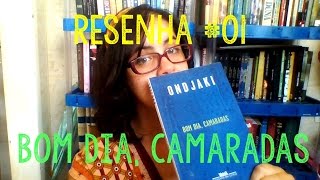 Resenha 01  Bom Dia Camaradas de Ondjaki [upl. by Yerdna]