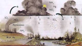 12 Principles of Green Chemistrym4v [upl. by Sheff]