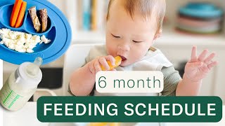 Day in the Life Feeding a 6 Month Baby Meals Schedules Milk Feeds [upl. by Morgun]