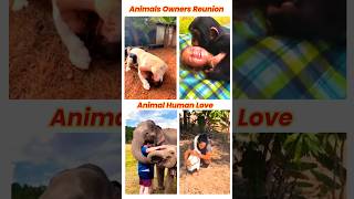 Animals Heartfelt Reunions reunion shorts satisfying [upl. by Terry]