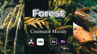 Cinematic Moody video Colour grading Cinematic colour grading [upl. by Tarrel]