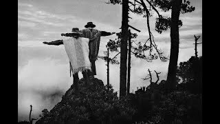 Sebastião Salgado et les Arbres [upl. by Almeria]