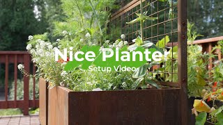 How To Set Up A Nice Corten Trough Planters with Trellis [upl. by Olen]