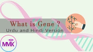 What is Gene A concept of Basic Genetics Crash CourseUrdu and Hindi Version [upl. by Eibreh397]