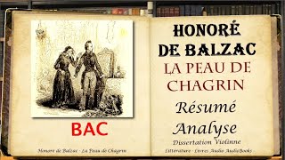 Honoré de Balzac  La Peau de Chagrin Résumé Analyse [upl. by Nagaek395]