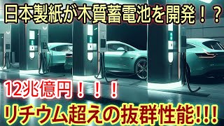 【海外の反応】日本製紙が木質蓄電池を開発！？12兆億円！！！リチウム超えの抜群性能！！！ [upl. by Christen875]