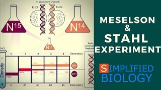 Meselson and Stahl Experiment for NEET AIIMS JIPMER AIPMT MCAT PREMED [upl. by Timmons]