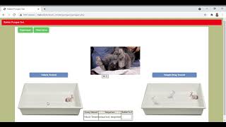 Part II of Test for pyrogens by Rabbit method By ExPharm software [upl. by Endora]