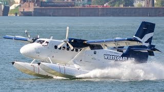 Twin Otter Seaplane Compilation [upl. by Rexer]