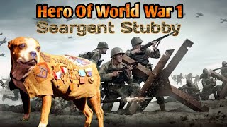 Sergeant Stubby World War 1 Hero [upl. by Noyek]