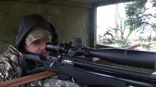 The Airgun Show  subzero squirrel shooting PLUS the ATN BinoxHD 416x and SHOT 2017 [upl. by Elish736]