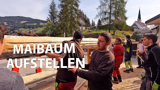 MAIBAUM AUFSTELLEN in Kirchberg in Tirol [upl. by Mellicent]