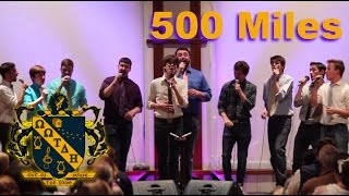 500 Miles  A Cappella Cover  OOTDH [upl. by Penoyer]