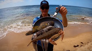 Jetty Fishing  CATCH N’ COOK  Part 1 [upl. by Ocirne]