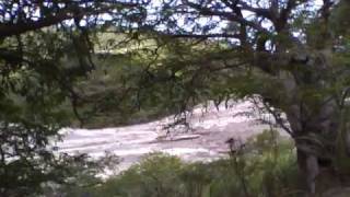 Pyroclastic flow from Soufrière Hills volcano Montserrat [upl. by Ynwat]