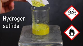 Making Hydrogen Sulfide From Common Household Materials  LabCoatz Shorts [upl. by Hannon]