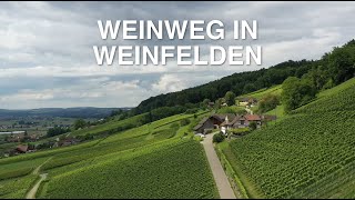 Unterwegs auf dem Weinweg in Weinfelden mit Saturday and Sunday [upl. by Erna531]