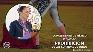 quotEs tiempo de PROTEGER a los ANIMALESquot Sheinbaum sobre las crridas de tros 👏🏽👏🏽👏🏽 [upl. by Cirad]