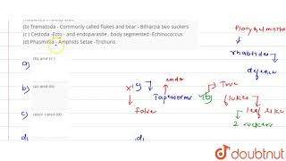 Choose the correct combinationsa Tubellariamostly free living flat worms with convoluta mucu [upl. by Yllim]