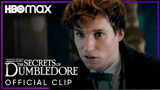 Fantastic Beasts The Secrets of Dumbledore  Official Trailer  HBO Max [upl. by Svensen]