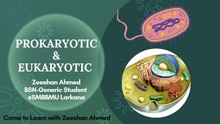 Prokaryotic amp Eukaryotic CellDifference9th class BiologySindhi LectureCome to Learn with Zeeshan [upl. by Xela]