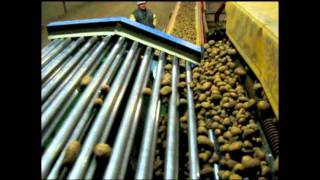 Rollensortierer InnoKAT KSU 22002mp4 [upl. by Yelsha]