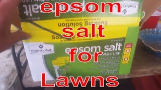 Epsom Salt For My Crappy Lawn Summer Lawn Care Tip Improve soil quality and get greener grass [upl. by Yedrahs]