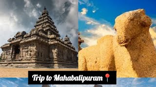 A trip to Mahabalipuram from SRM college KTK campus and experience and expenses [upl. by Htebizile560]