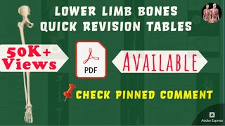 31 Lower Limb Bones  Quick Revision  📝For PDF Notes Check Description Box [upl. by Illom]