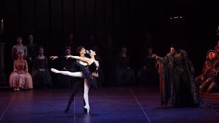 Tamara Rojo  Isaac Hernandez  Black Swan pas de deux  World Ballet Stars Gala New York [upl. by Macdonald15]