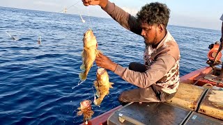 Handline Fishing at 250 Feet Deep for Rosy Snapper Catching [upl. by Siddra820]