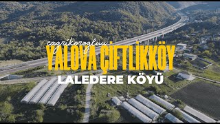 Yalova Çiftlikköy Laledere Köyü Drone Shot [upl. by Elimac13]