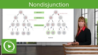 Nondisjunction Chromosomal Disorders amp Aneuploidies – Medical Genetics  Lecturio [upl. by Eniretac]