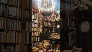 MUSTSEE BOOK SHOP IN FLORIDA 📚✨️  Old Florida Book Shop  Orchid Vega orchidvega travel [upl. by Gentes]