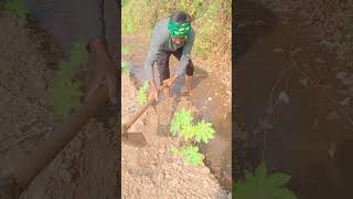 Kheti ni maja khedutputra shorts reels farmer [upl. by Sitnerp647]