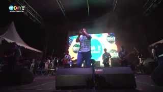 Shaggy Dog  Rudys Story Live at Hai Day 2014 [upl. by Kingdon]