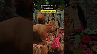 kathi na ghongad remix। मायाक्का देवी चिंचली। whattsapp status  Dhangar Song viralshort shorts [upl. by Adnahsed315]