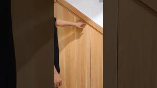 Under Stairs Cupboard woodworking fncraft shorts [upl. by Iddo170]