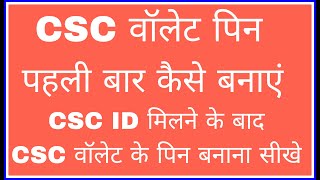 CSC wallet pin Kaise banaen pehli Baar CSC wale pin kaise banate hain [upl. by Orlan529]