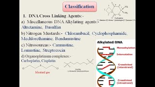 Classification of Anticancer or Antineoplastic agents Medicinal Chemistry Structural basis [upl. by Nytsuj]