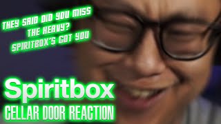 Spiritbox  Cellar Door  ReactionReview [upl. by Yong487]